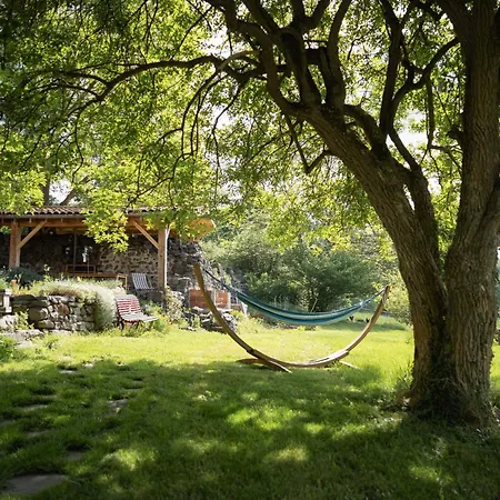En Ferme Traditionnelle Avec Terrasse En Haute-loire - Fr-1-582-488 Bed & Breakfast *