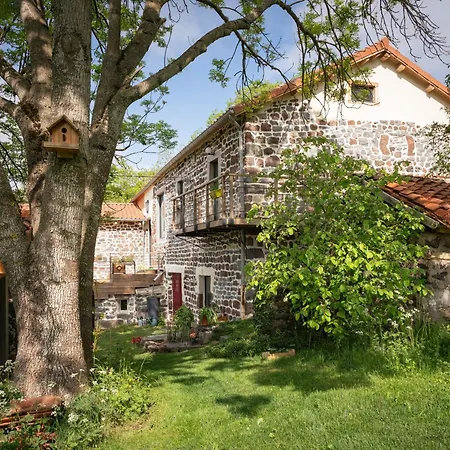 En Ferme Traditionnelle Avec Terrasse En Haute-loire - Fr-1-582-488 Bed & Breakfast